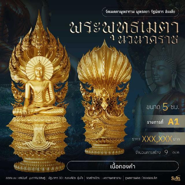 เปิดจอง  ✨ พระพุทธเมตตานวนาคราช เปิดจองครับ