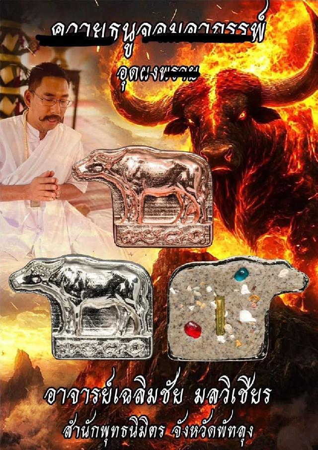 อาจารย์เฉลิมชัย มลวิเชียร เปิดจองครับ