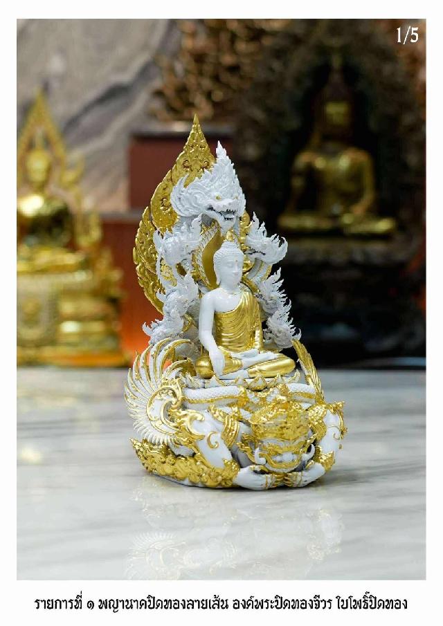 เปิดจอง “พระนาคปรก อสุรินนารทมงคล”