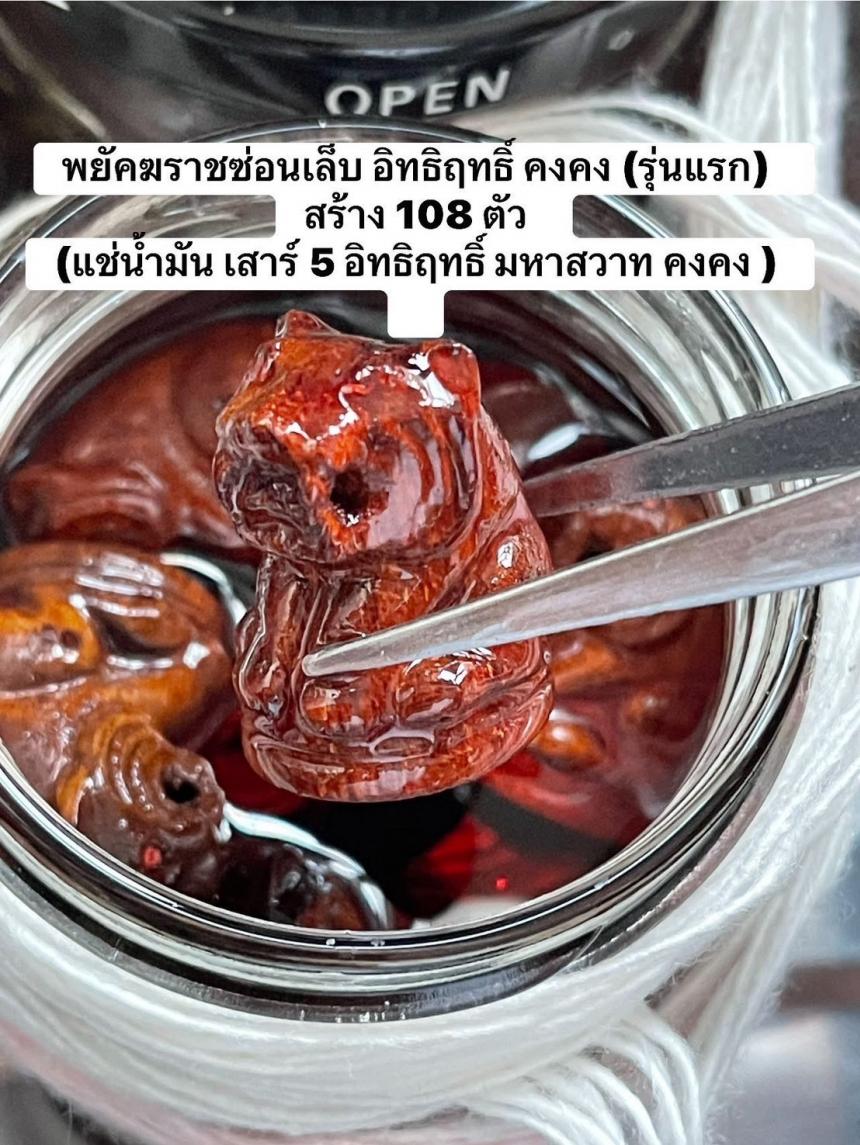 พยัคฆราชซ่อนเล็บ อิทธิฤทธิ์ คงคง (รุ่นแรก) สร้าง 108 ตัว เปิดจองครับ