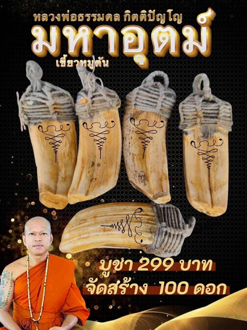 หมูตัน” รุ่น มหาอุตม์ ✨ เมตตาอธิษฐานโดย หลวงพ่อธรรมดล กิตติปัญโญ เปิดของครับ