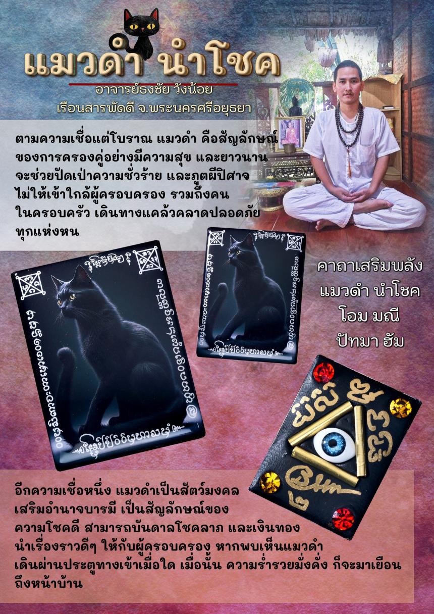 ล็อกเก็ต (ล็อกเก็ต) ✨🌟 🧧🐈‍⬛ แมวดำ (รุ่นแรก) 🐾🧧 🧧🐈⬛ (แมวดำ พิมพ์ครั้งแรก)  เปิดจองครับ