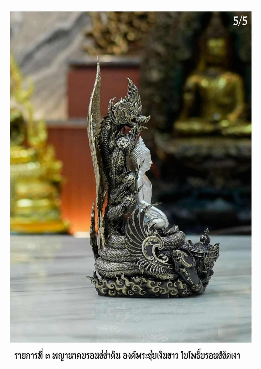 เปิดจอง “พระนาคปรก อสุรินนารทมงคล”