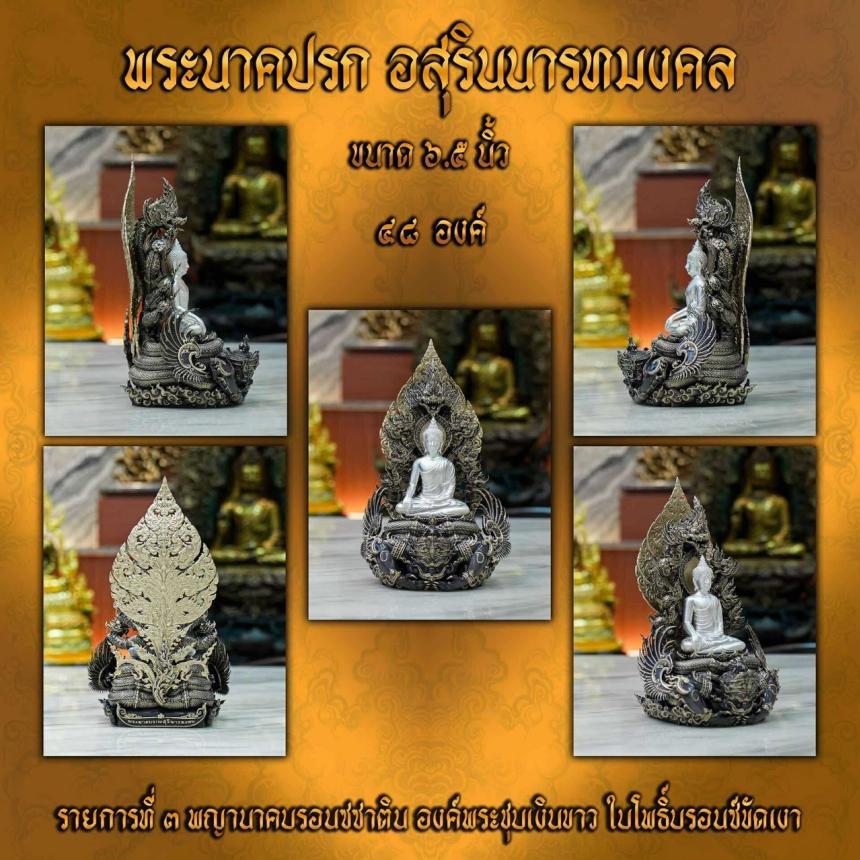 เปิดจอง “พระนาคปรก อสุรินนารทมงคล”