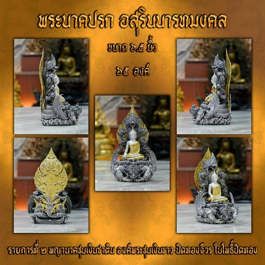 เปิดจอง “พระนาคปรก อสุรินนารทมงคล”